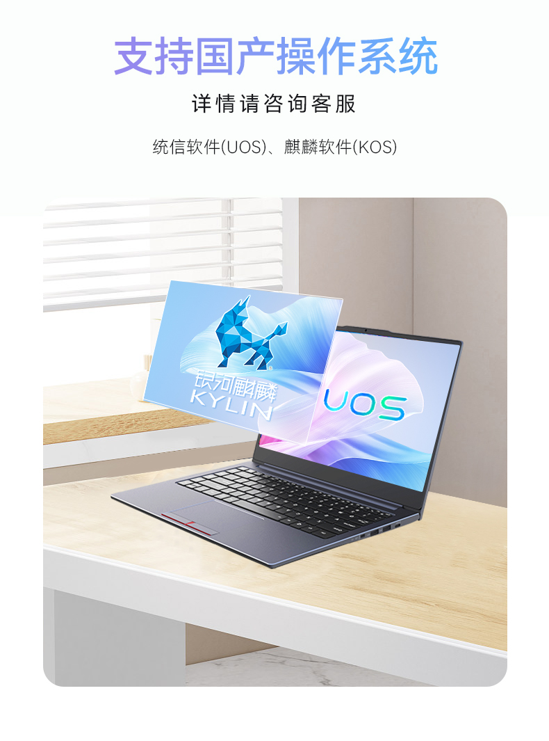 14英寸國產輕薄筆記本,龍芯CPU,DT-S14L4UD.jpg