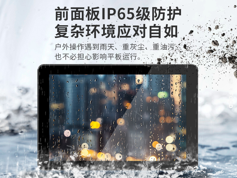 10.1英寸工業平板電腦,10點電容屏,DTP-0819-RK3568