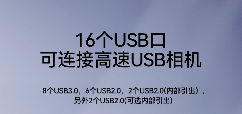 飛騰騰銳D2000國產化工控機,銀河麒麟/UOS雙系統,機器視覺控制主機,DTB-2102L-FD2KMC2.jpg
